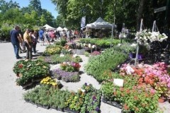 GIARDINI E TERRAZZI  AI GIARDINI MARGHERITA