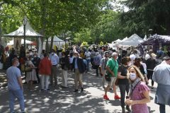 GIARDINI E TERRAZZI  AI GIARDINI MARGHERITA