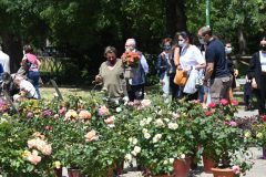 GIARDINI E TERRAZZI  AI GIARDINI MARGHERITA