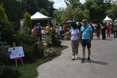 GIARDINI E TERRAZZI  AI GIARDINI MARGHERITA