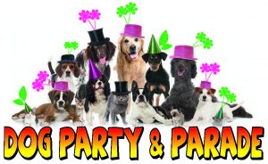 Dog Party-testata San Lazzaro 3